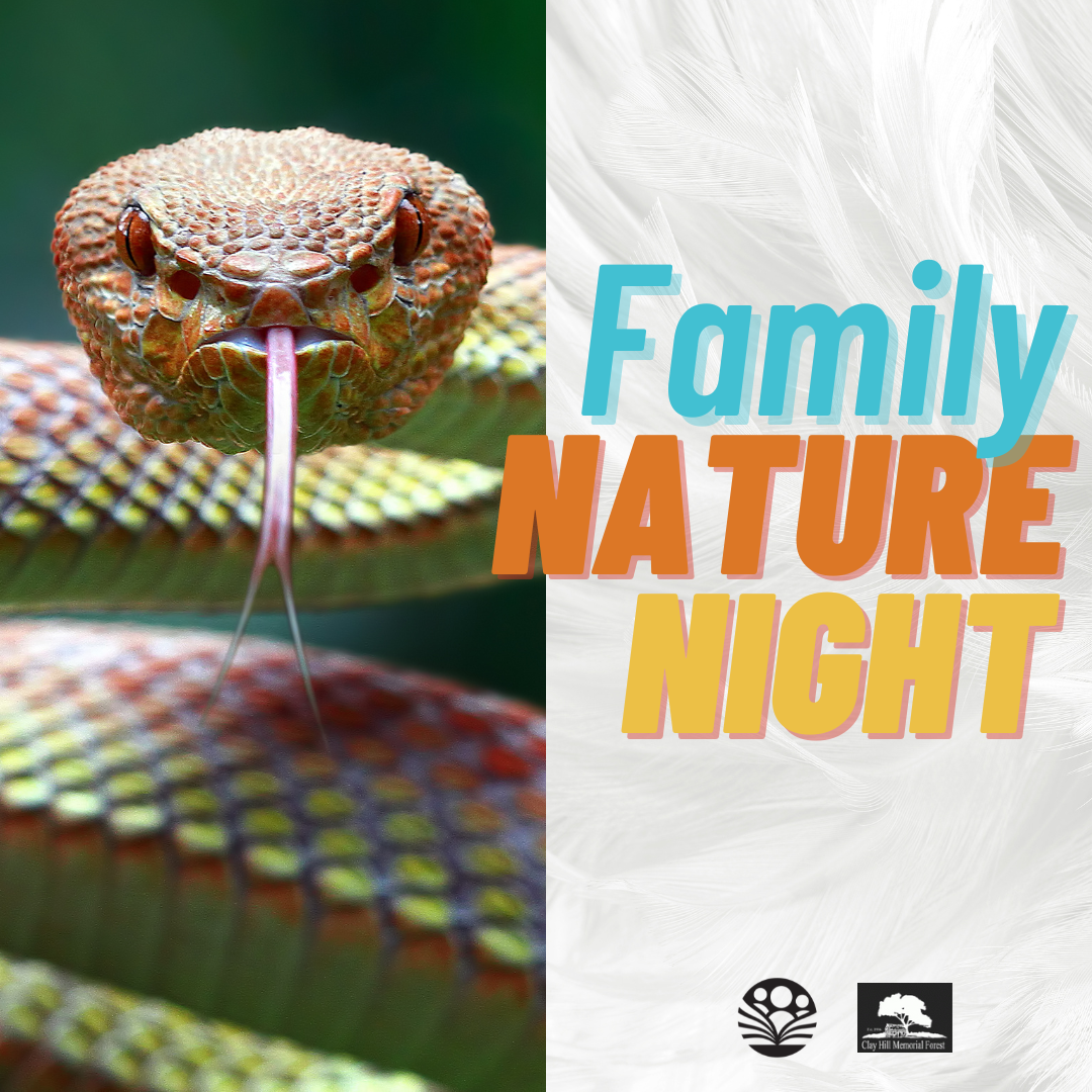Family Nature Night