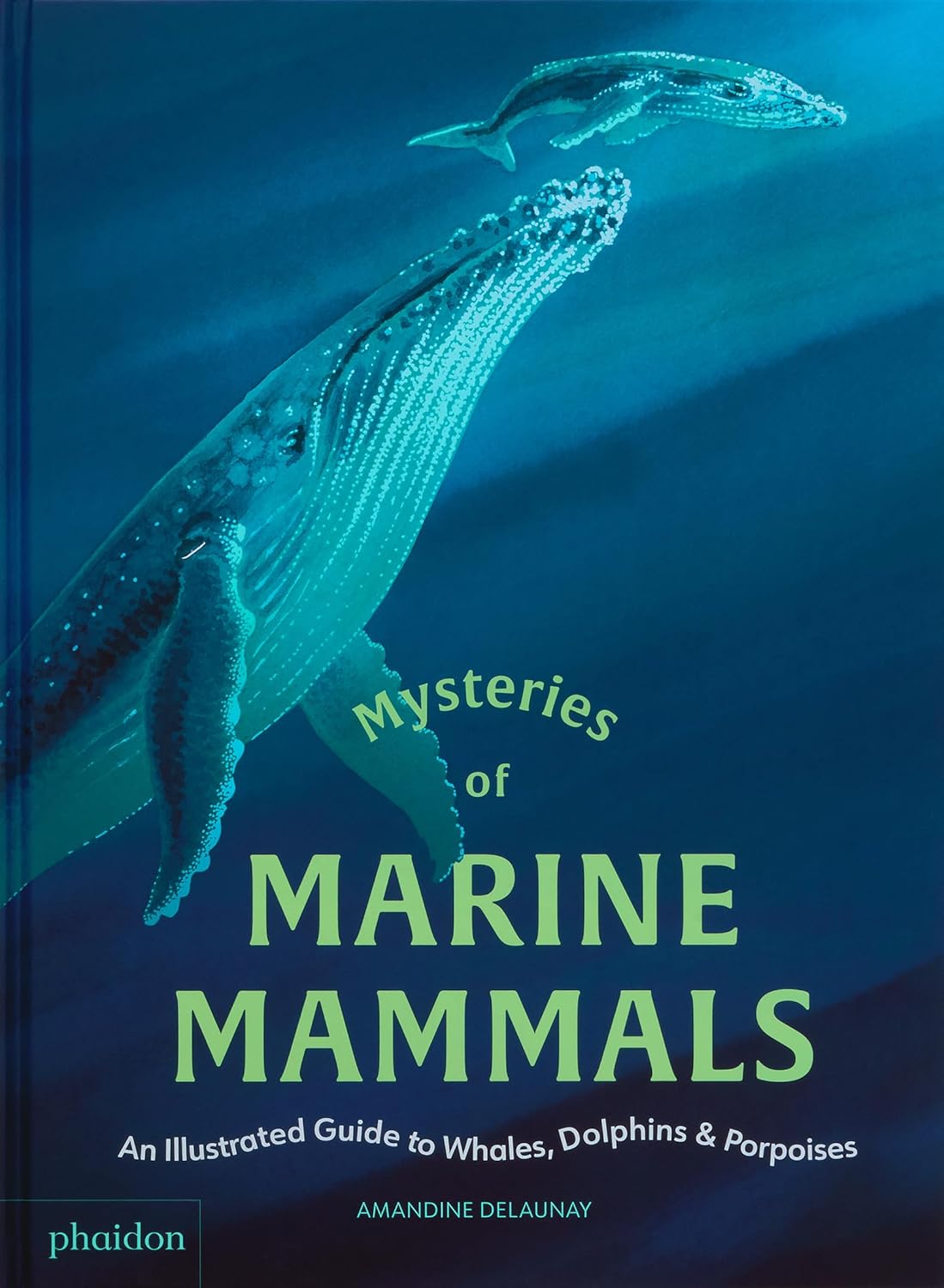 Image for "Mysteries of Marine Mammals"