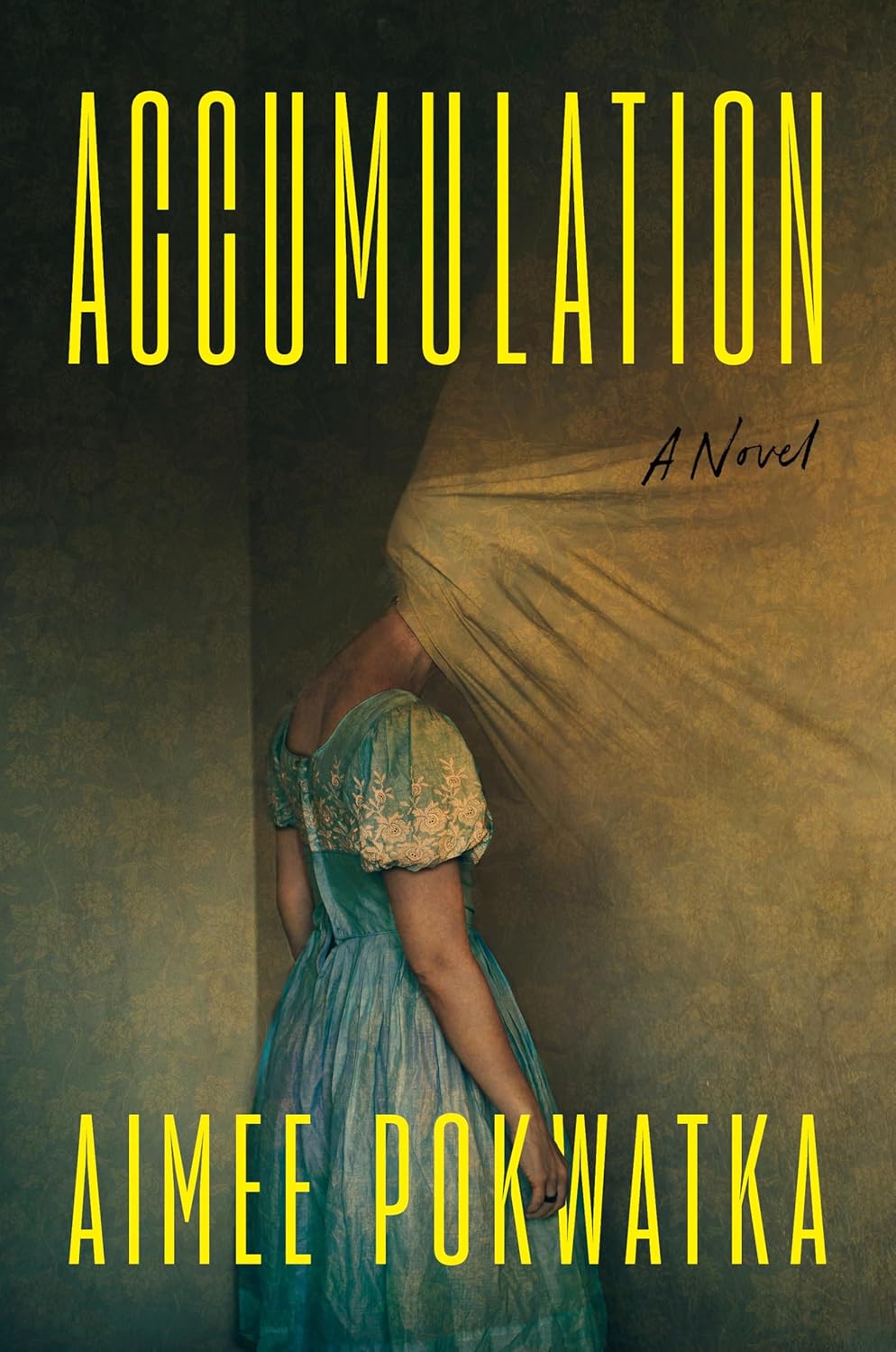 Image for "Accumulation"