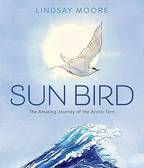 Sun Bird: The Amazing Journey of the Arctic Tern - bird flying over the ocean 