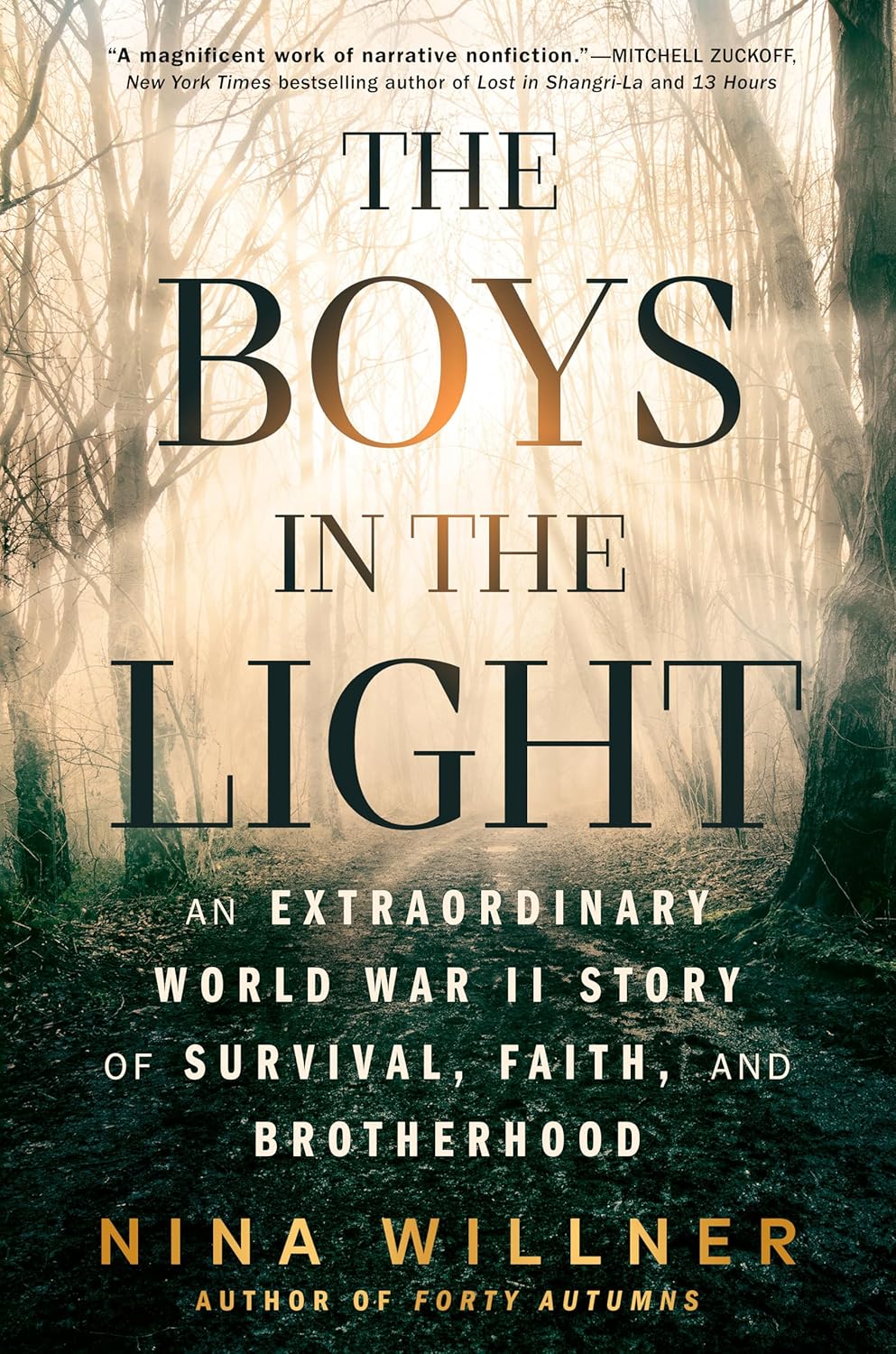 Image for "The Boys in the Light"