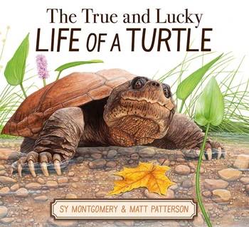 Image for "The True and Lucky Life of a Turtle"