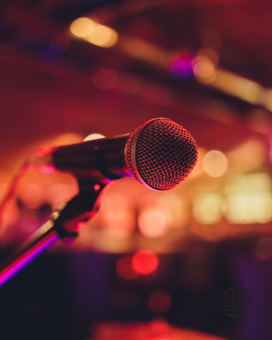 microphone in a dark venue