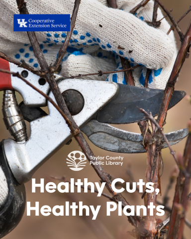 Healthy Cuts, Healthy Plants
