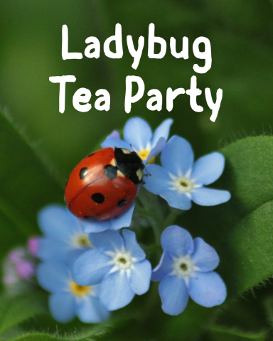 Ladybug Tea Party