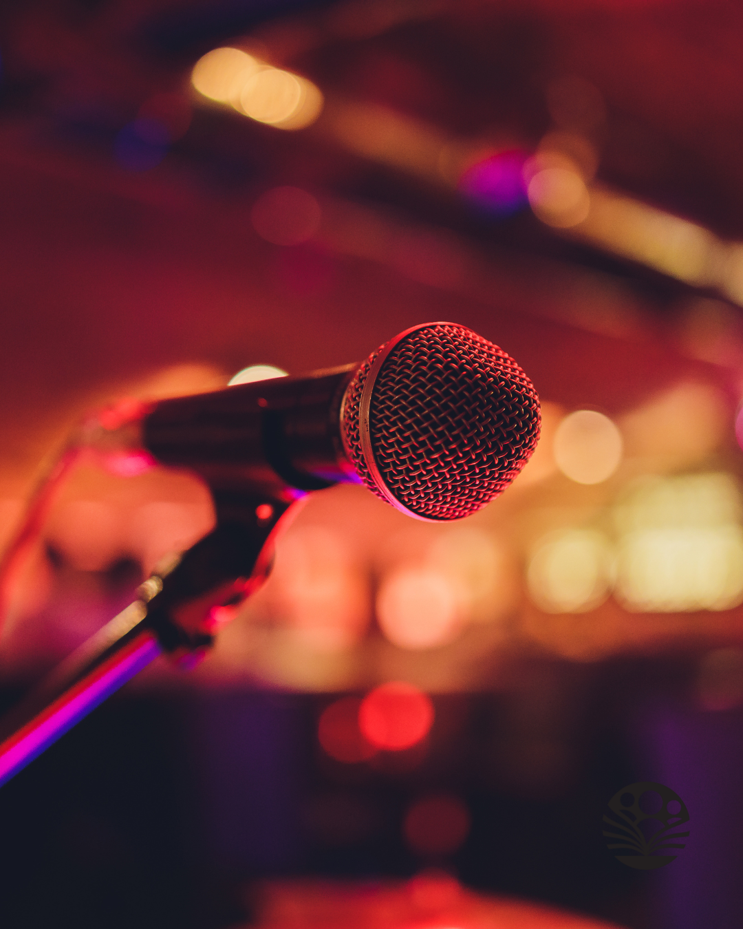 microphone in a dark venue
