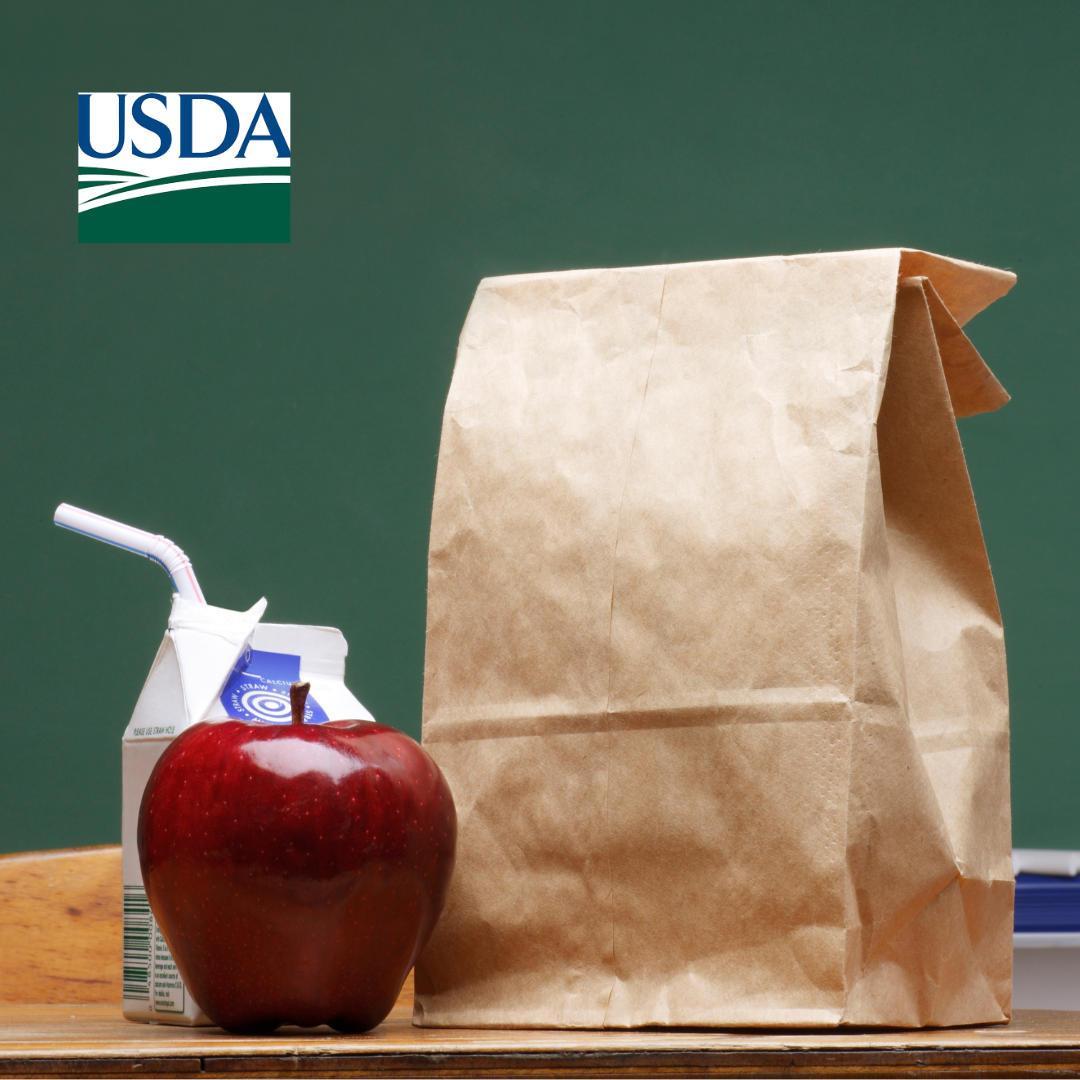 Summer Nutrition Lunches - lunch bag with an apple and milk