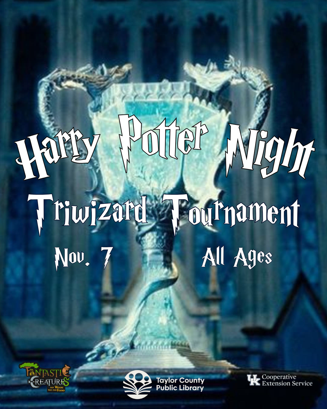 Harry Potter Night Triwizard Tournament