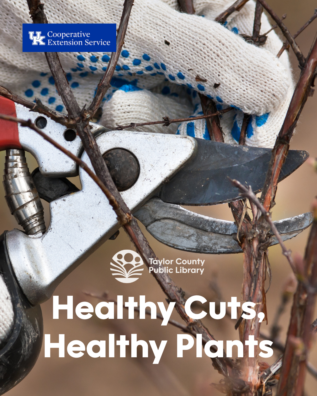Healthy Cuts, Healthy Plants