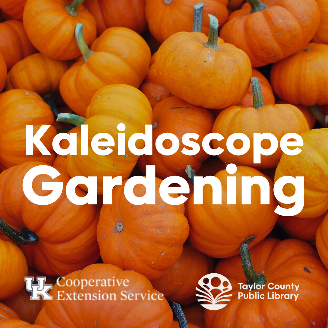 Kaleidoscope Gardening pumpkins