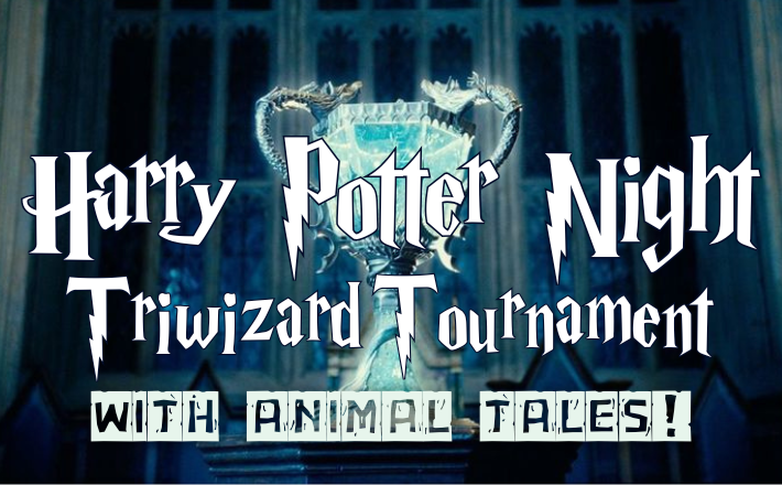 Harry Potter Night: Triwizard Tournament with Animal Tales