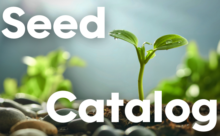 seed catalog with new plants